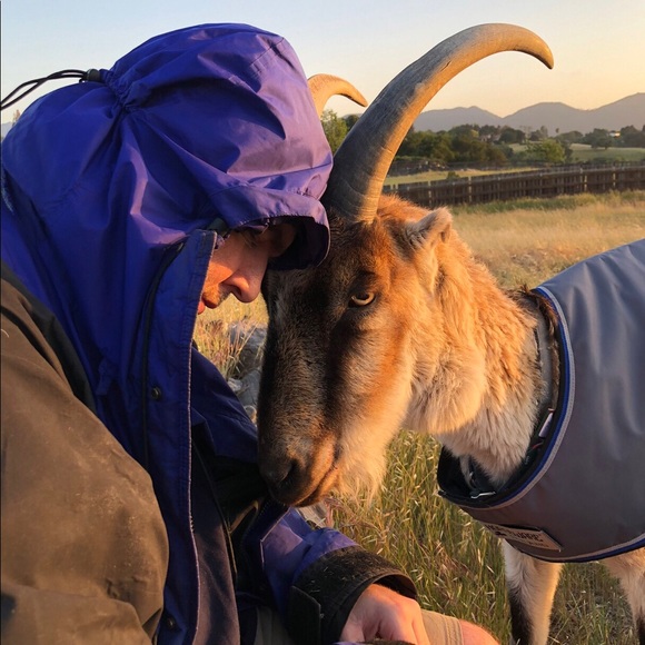 Hi! Thank you for visiting Shadowspond 😊😊😊 - Picture 7 of 16